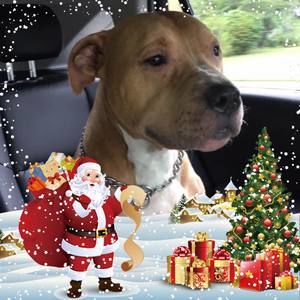 Meet your Posher, Fernando